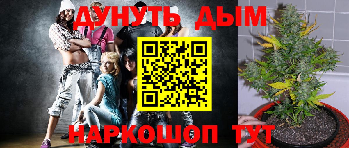 Канабис сатива Екатеринбург